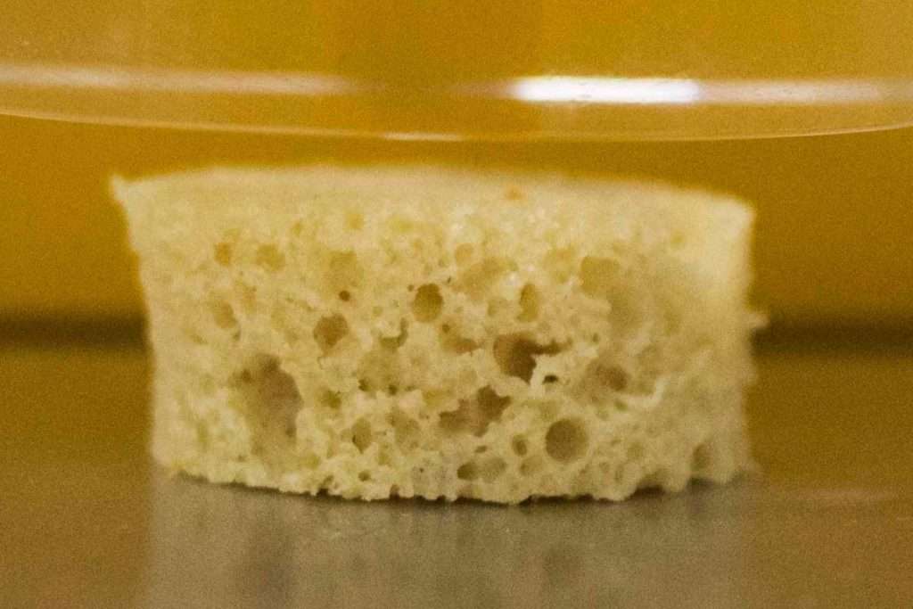 Especialistas del CONICET desarrollan un pan de quinoa sin gluten