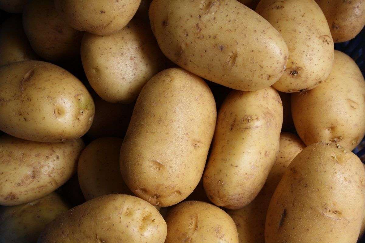 los celíacos pueden comer papa